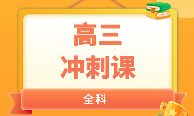高三 冲刺课（定制班）
