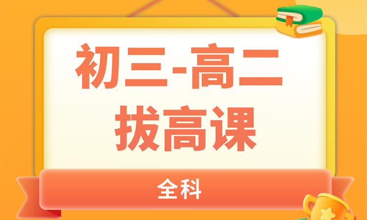 初三-高二 拔高课（定制班）